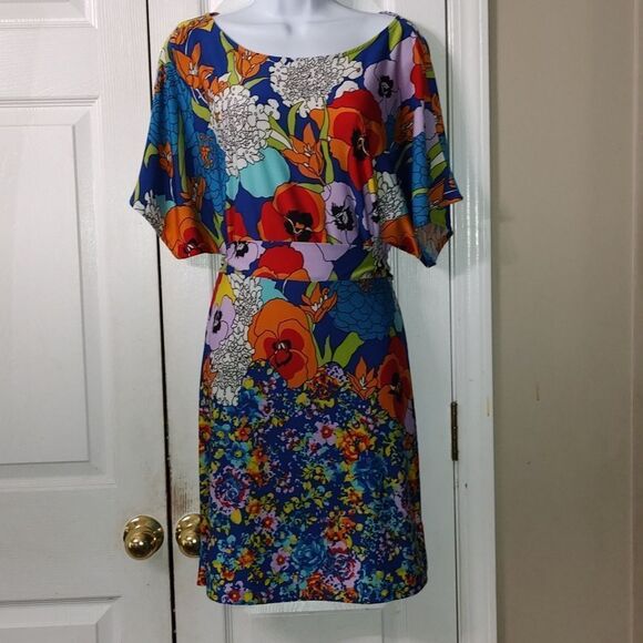 BCBGMaxAzria floral print dress Sz XS - Picture 1 of 5
